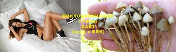 дмт Костерёво