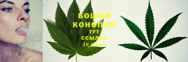 дмт Костерёво