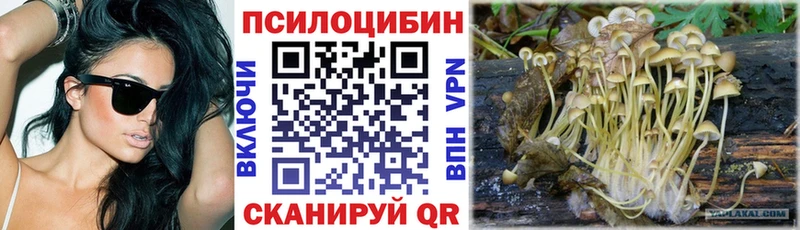 Купить  Рыльск  Псилоцибиновые грибы Magic Shrooms 